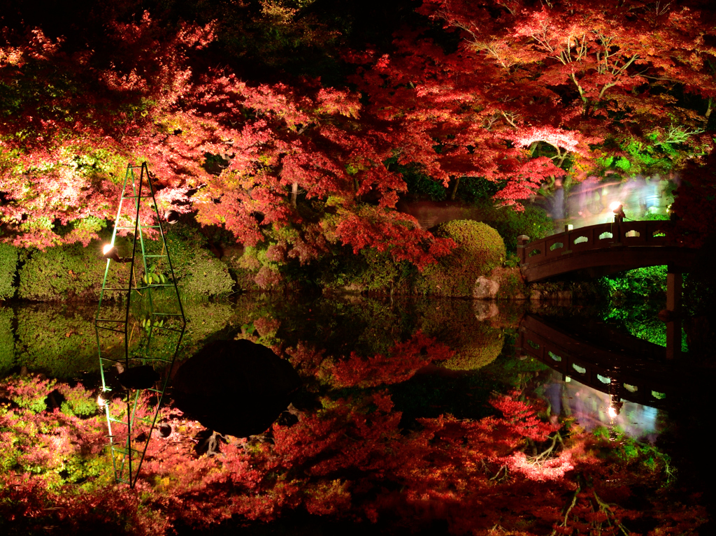 紅葉ライトアップ水鏡2014①