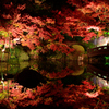 紅葉ライトアップ水鏡2014①