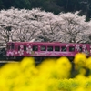 春の桜列車ひだまり号①