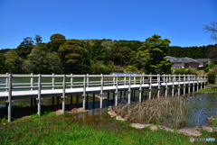 管無田公園の白い橋