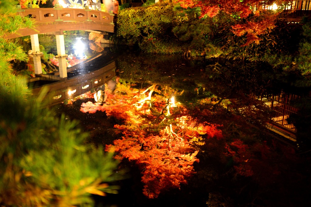 紅葉ライトアップ水鏡2013-⑤