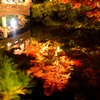 紅葉ライトアップ水鏡2013-⑤