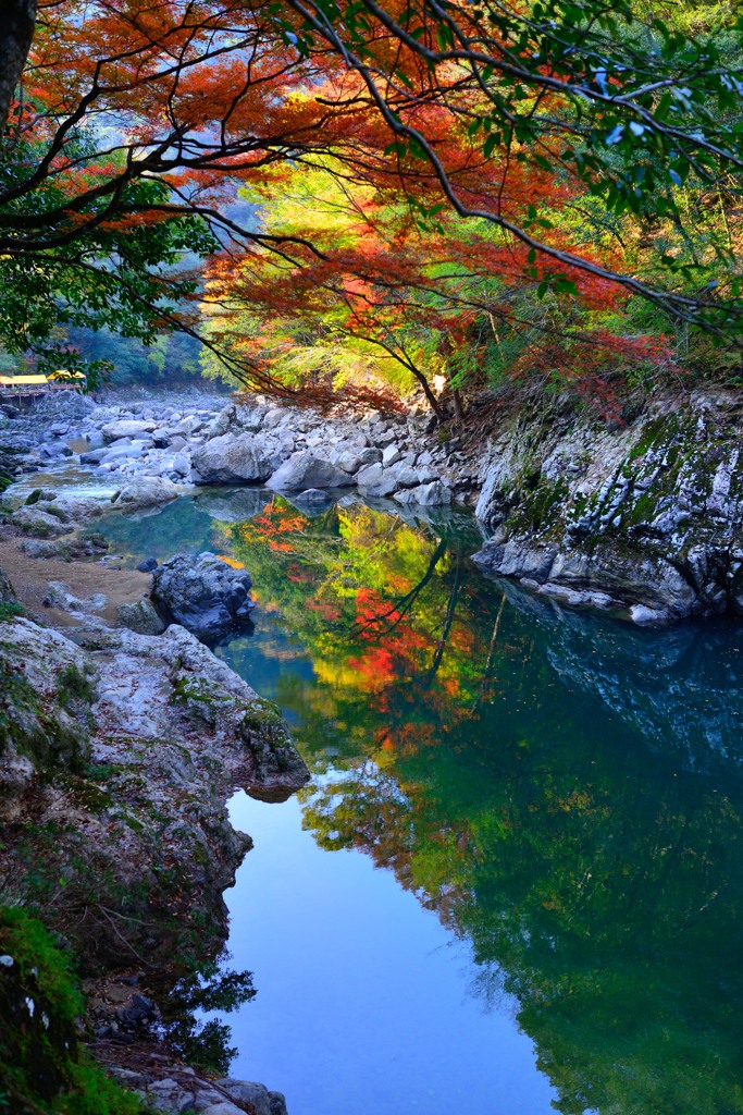 紅葉2013水鏡