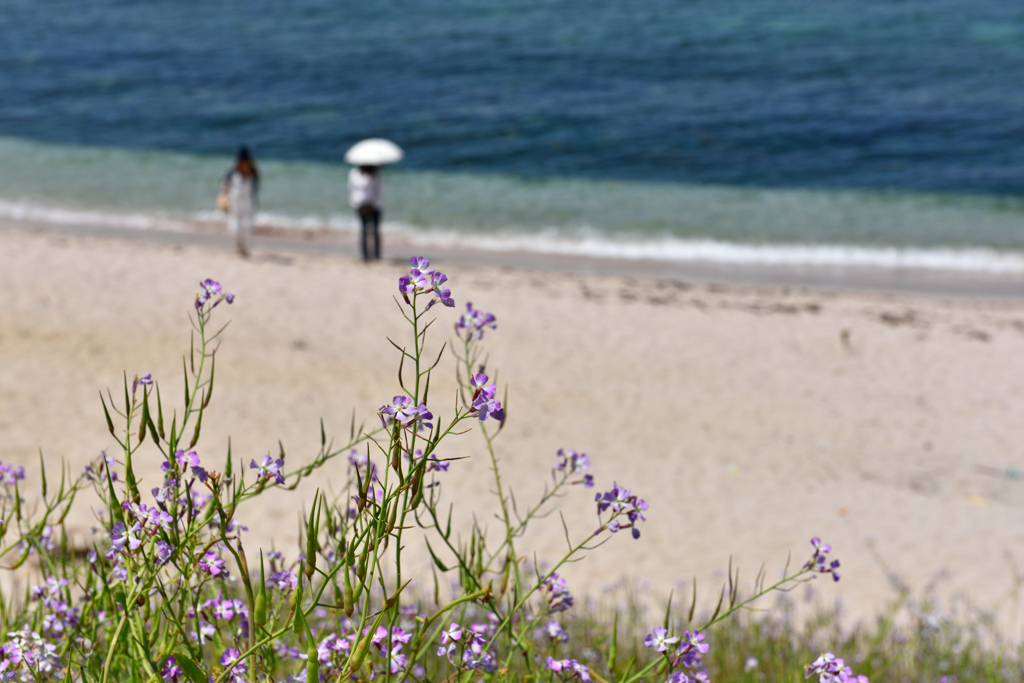 BeachⅡ