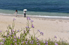 BeachⅡ