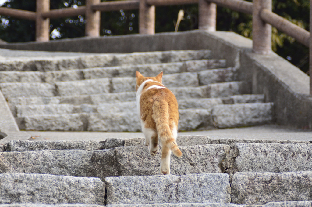 今日は良いこと有りそう