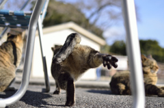 よっ