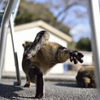 よっ