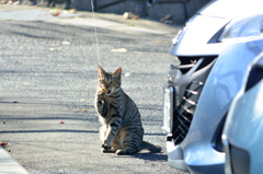 見られた!!