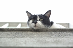 あいつ、まだおる