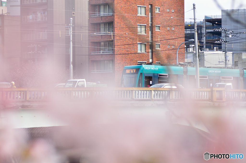 広島に春到来～花見行こうぜ！