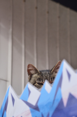 進撃な感じ