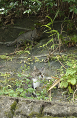 狩り‐坊主、よく見とけよ