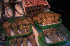 エイリアンみたいだけど美味しいらしい