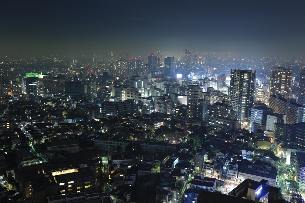 渋谷・新宿方面