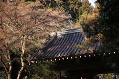 瑞鳳寺