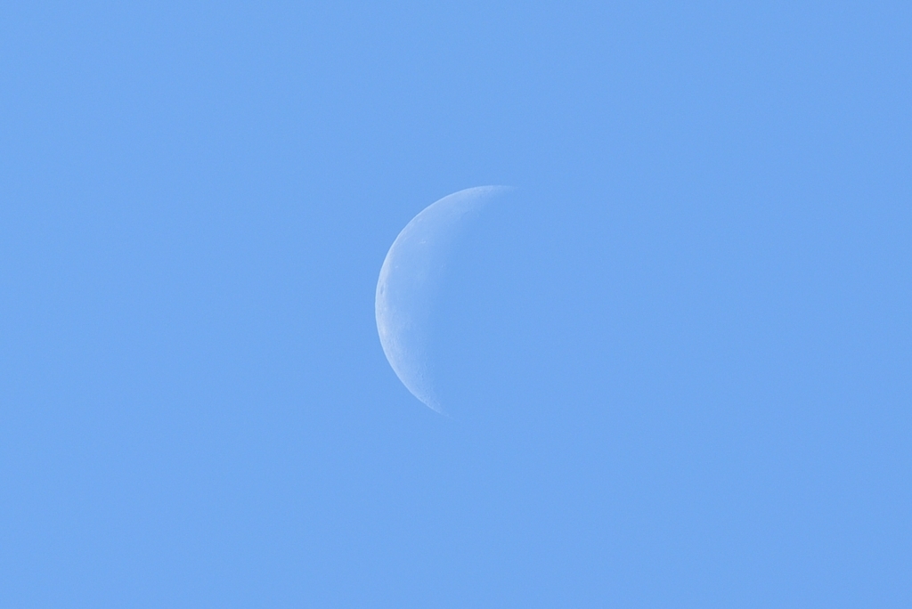 今更ですが・・・