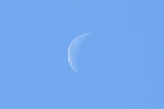 今更ですが・・・