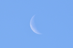 今朝の月
