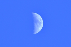 青空の月