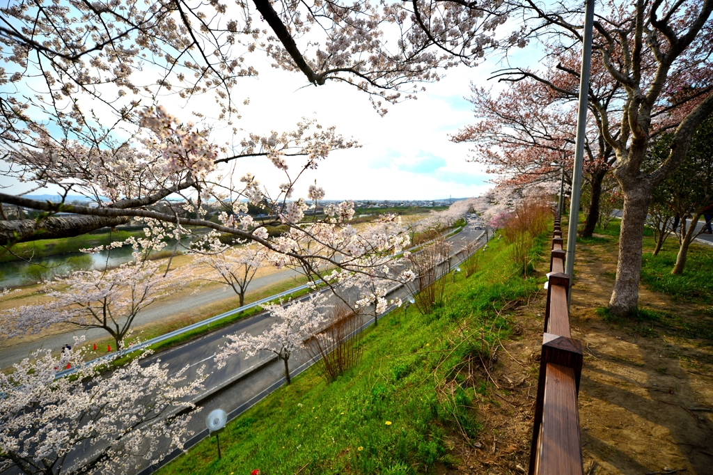 城山公園２