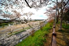 城山公園２