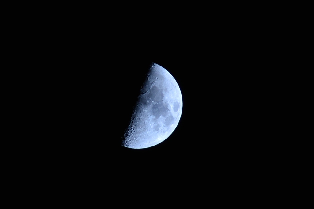 夜の半月
