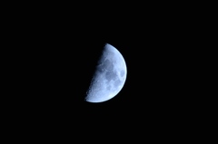 夜の半月