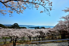 松島、西行戻しの松公園より