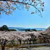松島、西行戻しの松公園より