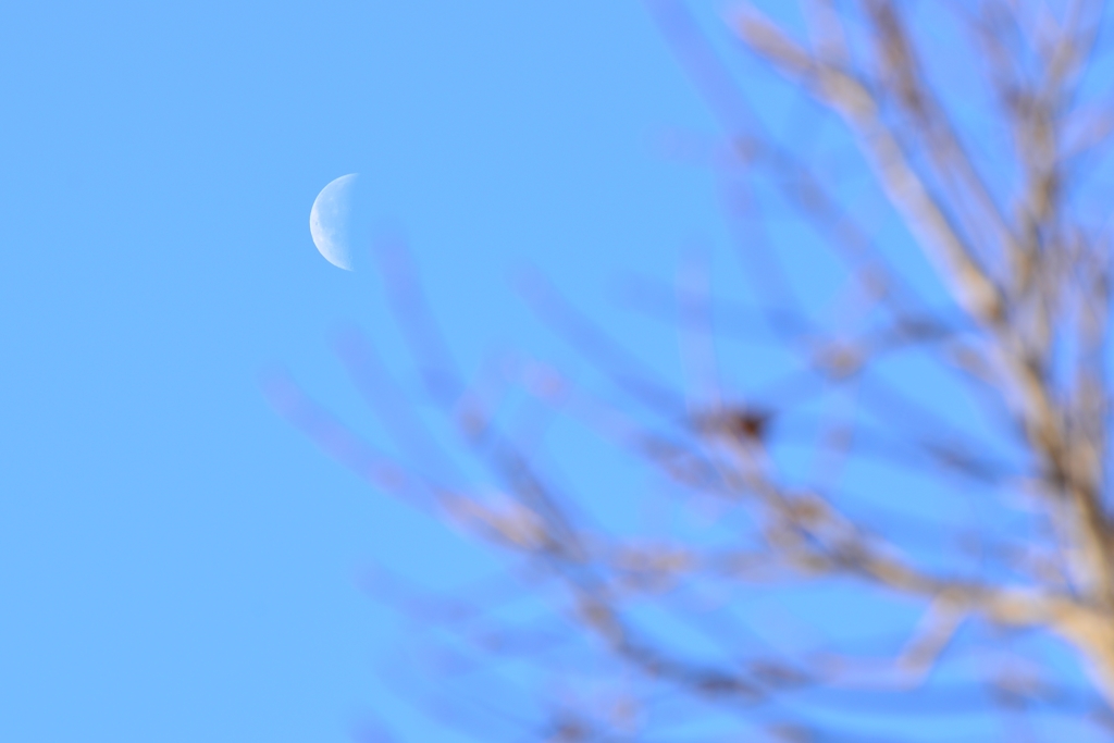 Today's Moon
