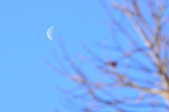 Today's Moon