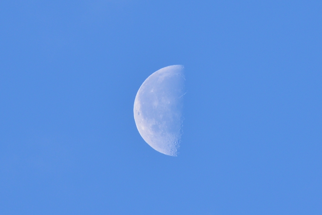 今朝の月