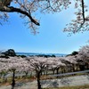 松島、西行戻しの松公園より