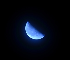 DSC_4342