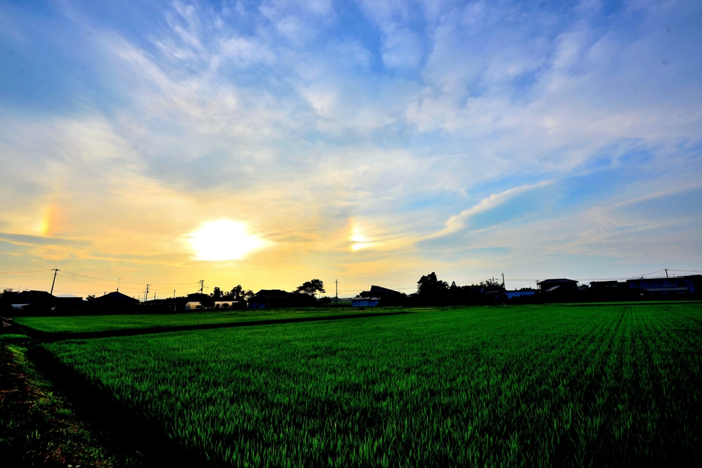 土曜の夕陽