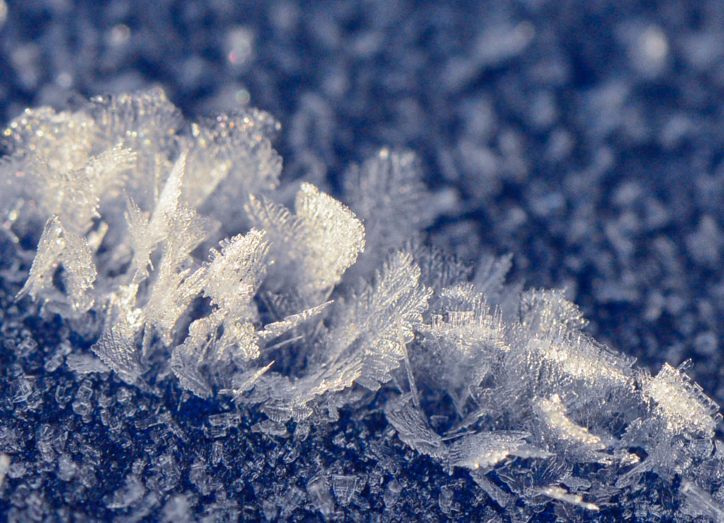 Snow　Crystal