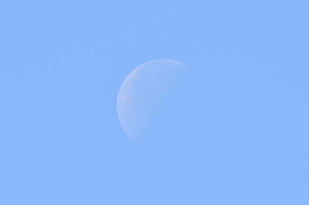 Today's Moon