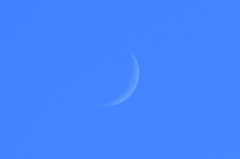 moon age 3.8