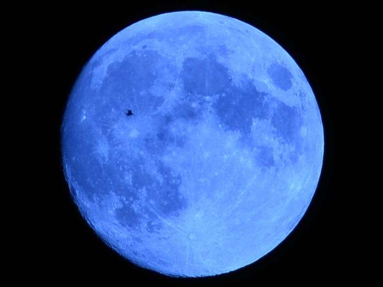 今夜の月は鳥と一緒に・・・