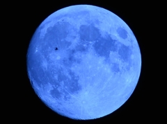 今夜の月は鳥と一緒に・・・