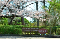 榴ヶ岡公園