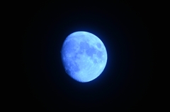 昨夜の月