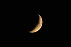 昨夜の月