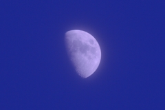 今夜の月