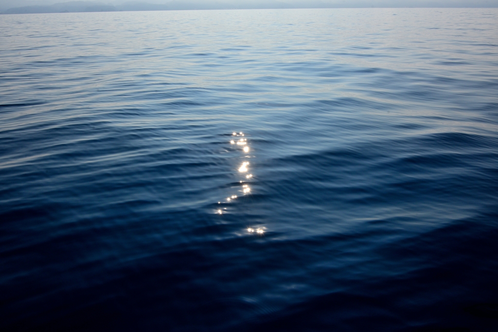 未確認生命体（笑）３