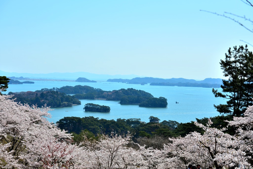 松島、西行戻しの松公園より