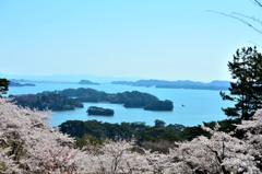 松島、西行戻しの松公園より