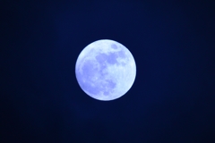 今夜の月は雲の中・・・