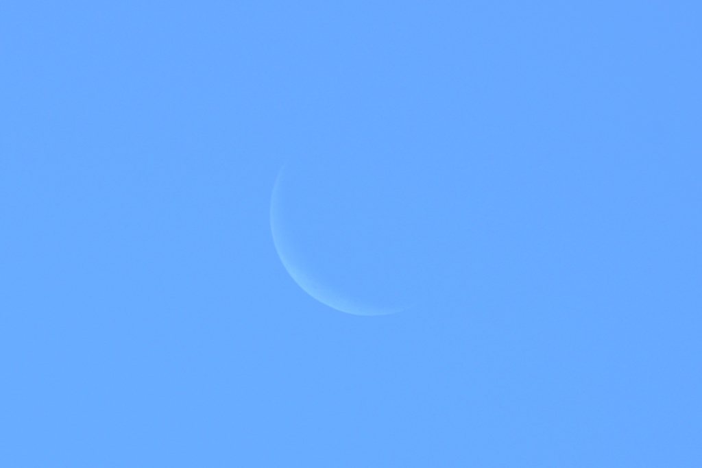 朝撮りの月